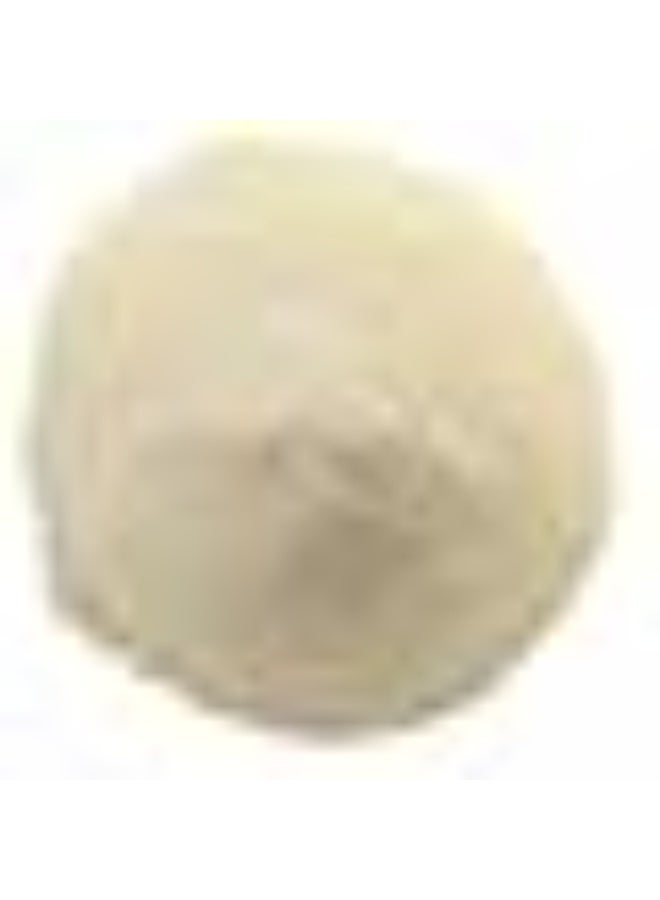 HSN Evoegg 2.0 | 500g CARIBBEAN VANILLA | Pure Protein Dried White from Cageless Hens | Does Not Include Dispenser | Non-GMO, Vegetarian, Lactose Free Fat Free - Image 4